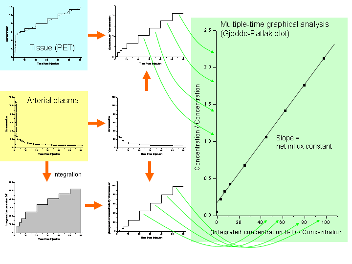 Calculation of Patlak plot