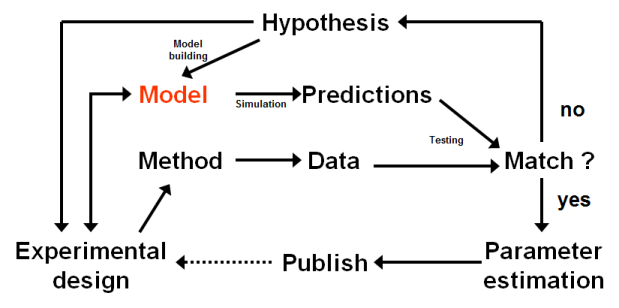 Role of modelling in scientific method